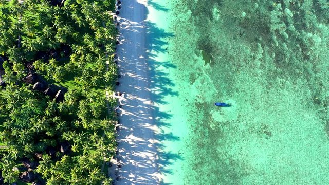The beach at Flic en Flac with luxury hotel La Pirogue Resort & Spa and palm trees, , Mauritius, Africa