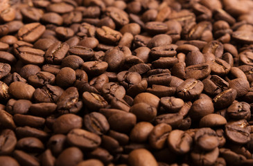 Coffee beans laid out on a white background surface