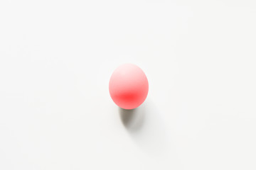Chicken egg on the background of nature