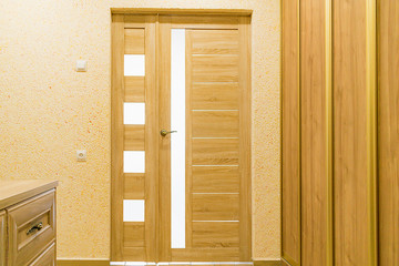 Interior door in the apartment