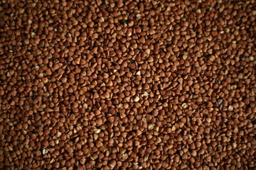 buckwheat texture close up macro 