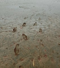 footsteps on the sand