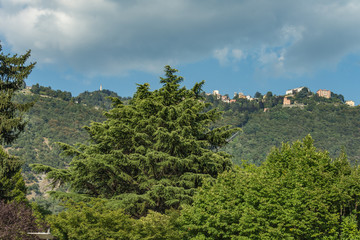 Fototapeta premium Como, ITALY - August 4, 2019: Apartments, villas, hotels on the green forested mountainsides near Lake Como. Beautiful Italian Como city. Warm sunny summer day in very popular holiday destination