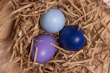Painted Easter Eggs in a Nest on a Tree