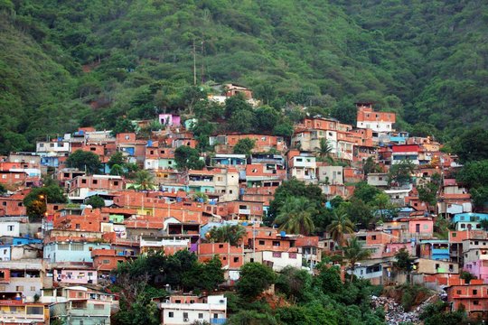 Houses In A City