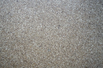 Cork tree texture for background