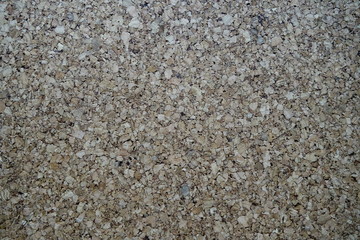 Cork tree texture for background