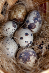 Obraz premium Fresh organic quail eggs in wicker basket. Diet product. Organic food. Homemade quail eggs close up view. Easter. Protein and Healthy diet.