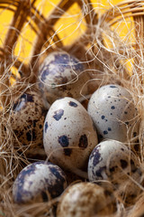 Obraz premium Fresh organic quail eggs in wicker basket. Diet product. Organic food. Homemade quail eggs close up view. Easter. Protein and Healthy diet.