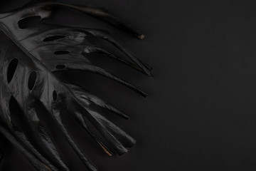 Luxury black monstera background. minimal exotic backdrop. space for text.