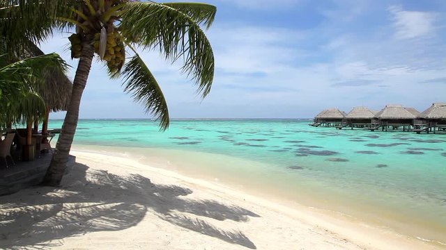 A roll of thatched-roof over-water bungalows on the right and a coconut tree with hanging fronts on the left with white sand beach in foreground leading to clear ocean aqua water, blue sky and clouds.