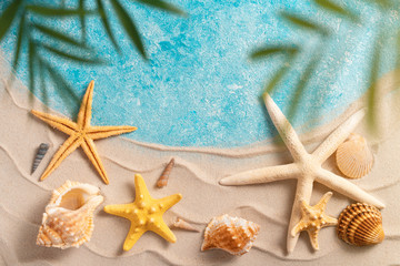 summer beach background with shell sea star blurred Palm vacation and travel concept, Flat lay top view copy space Minimal exotic concept. Creative layout of sand waves and sea