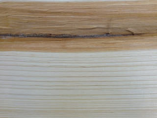birch wood texture. dark core
