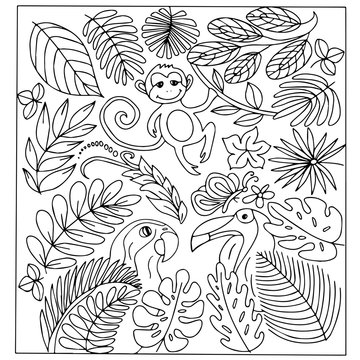 Set of tropical plants, leaves, monkeys, parrots. Black and white vector image in a doodle style. For the design of wallpaper, packaging, textiles and childrens coloring