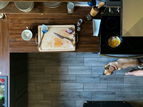 Overhead View Of Messy Kitchen With Small Dog And Person Walking