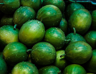 Fresh green melons for sale at a market, Lopburi, Thailand, Southeast Asia