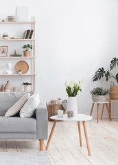 Modern Living Room Interior With Comfortable Sofa, Coffee Table And Plants
