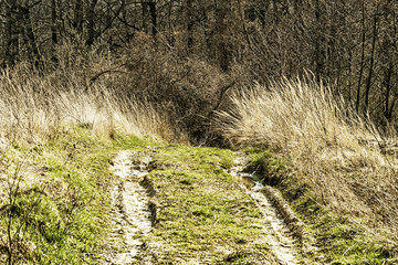 Off-road. Polesie. Country Ukraine. Impassable forest road of mud and clay, offroad