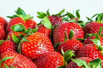 Bright red strawberry berries close up on a white background with copy space
