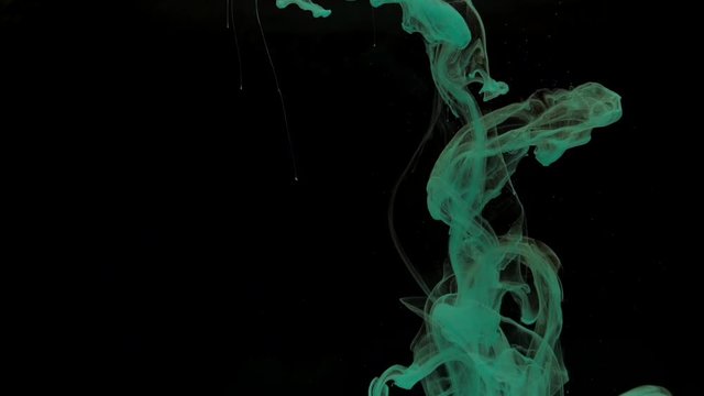 Colorful green ink mixing in water, swirling softly underwater on black background with copy space. Colored acrylic cloud of paint isolated. Abstract smoke explosion animation. Slow motion
