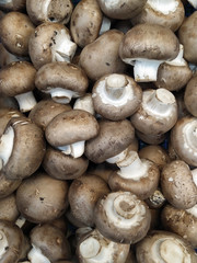 Mushrooms champignons in black boxes on store shelves. Vegetable department of the supermarket, white paris mushrooms, chestnut mushroom.