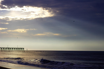 Rays over the Pier
