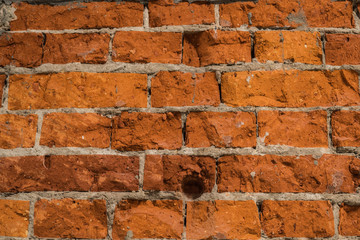 Background of brick wall texture