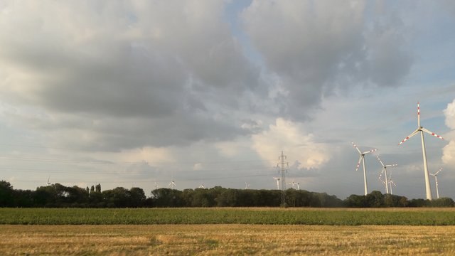 Skies