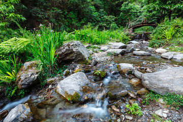 Small waterfall in mountains with lush green vegetation. Jibi, Himachal Pradesh