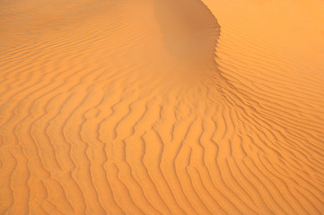 Red Sand Dunes