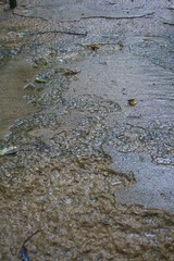 water in the river