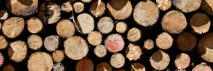 Weathered wooden texture