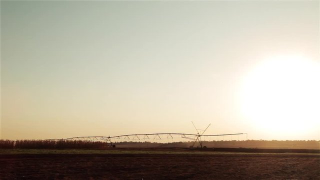 Fim de tarde na planta&ccedil;&atilde;o