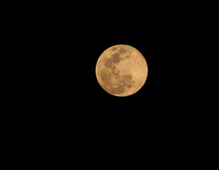 Fototapeta premium Super Moon april 7 2020