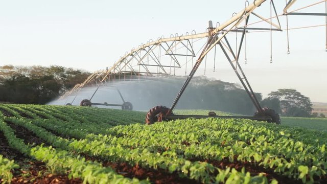 Irriga&ccedil;&atilde;o na planta&ccedil;&atilde;o de sorgo