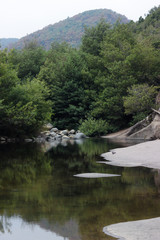 Fototapeta na wymiar bosque y rio en chile 