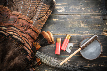 Eastern Wild Turkey Hunting Background - obrazy, fototapety, plakaty
