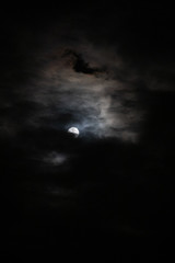 Moon April 7, 2020 Supermoon Atlanta, Ga