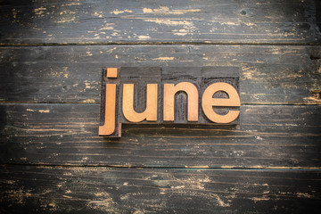 June Concept Vintage Wooden Letterpress Type Word