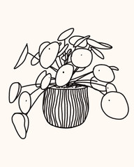 Minimalist plant illustration, chinese money plant, line art design vector