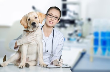 Beautiful young veterinarian with a dog in the clinic