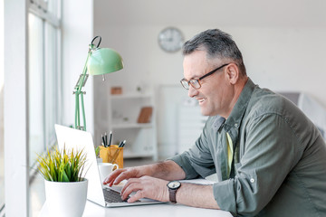 Mature man using laptop at home