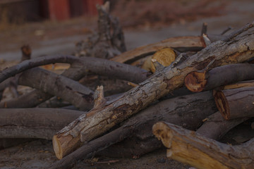Leña para un posible invierno