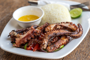 Fried octopus tentacles with white rice on a plate, close up