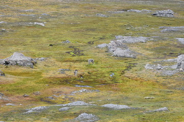 View of Svalbard Archipelago, Norway