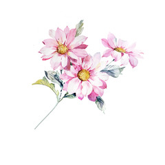 Naklejka na ściany i meble Watercolor flowers illustration