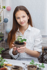 Child cultivates the land around the plant. School environmental education. Earth day concept. Dive flower sprouts into individual pots. Tomato seedlings picking. Springtime, gardening on balcony.