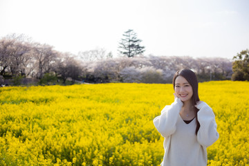 Fototapeta premium 女性と桜