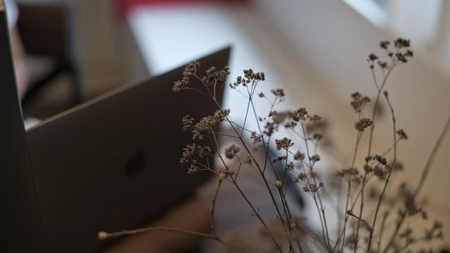 A dried bouquet stands near a laptop. Decorative decoration from dry grass. View from above. close-up. Top plan. Home furnishings.