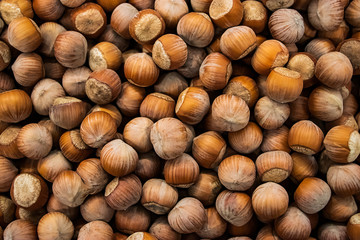 Hazelnuts background. Protein Source for Vegan